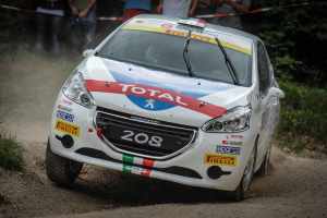 Peugeot-208-Rally-Adriatico-Testa