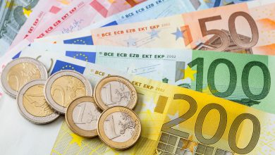 euro moneta