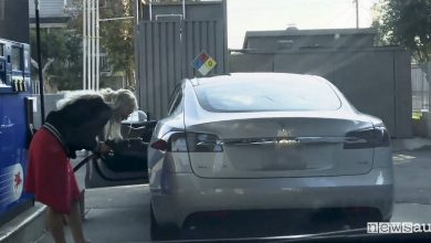 Ricarica Tesla, donna tenta di fare benzina