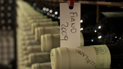 Cantina-vini-campania Colli di Lapio