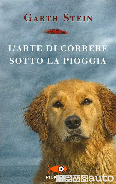 Il libro "Arte di correre sotto la pioggia" è in vendita su Amazon, con cane in copertina