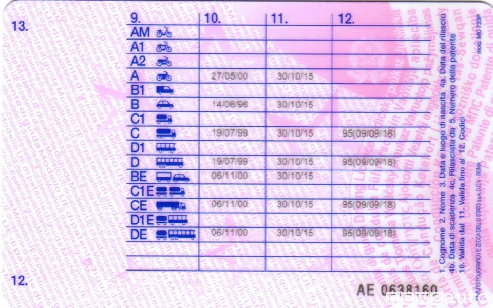Patente sezione retro con le categoria della patente e relativa data di scadenza