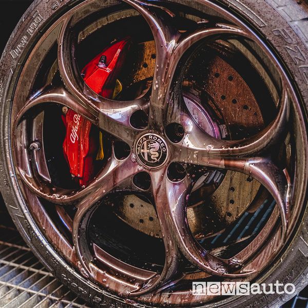 Violet color Iron Remover Alfa Romeo rim