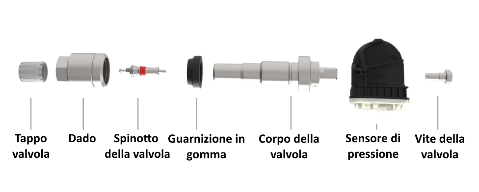 Struttura sensore TPMS