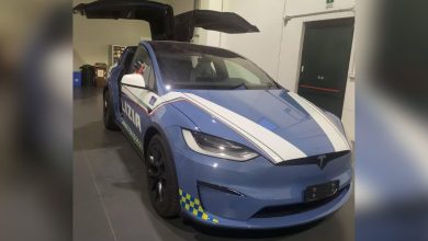 Tesla Model X della Polizia