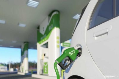 Dazi al biodiesel della Cina