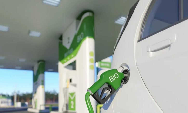 Dazi al biodiesel della Cina