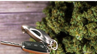Effetti della marijuana alla guida