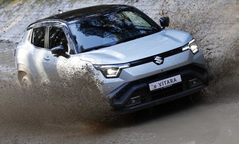 Suzuki e Vitara in azione nel fango