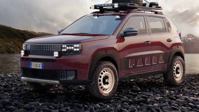 Fiat Panda 4x4 Grande Panda 4x4 Manifesto