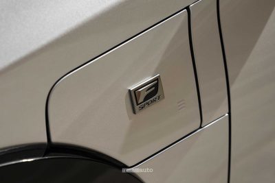 Lexus RZ 550e F Sport vano per la ricarica in AC/DC