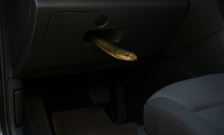 serpente in auto, Parcheggia lontano da zone boschive o erbose per evitare spiacevoli sorprese come la presenza di serpenti in auto