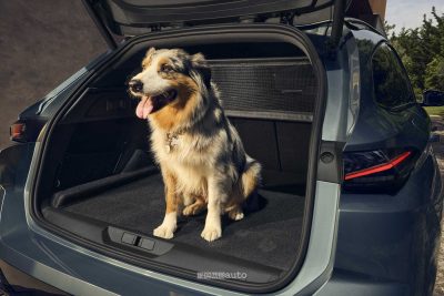 Nuova Peugeot E-308 SW bagagliaio per il trasporto dei cani